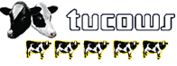 5 cows at Tucows